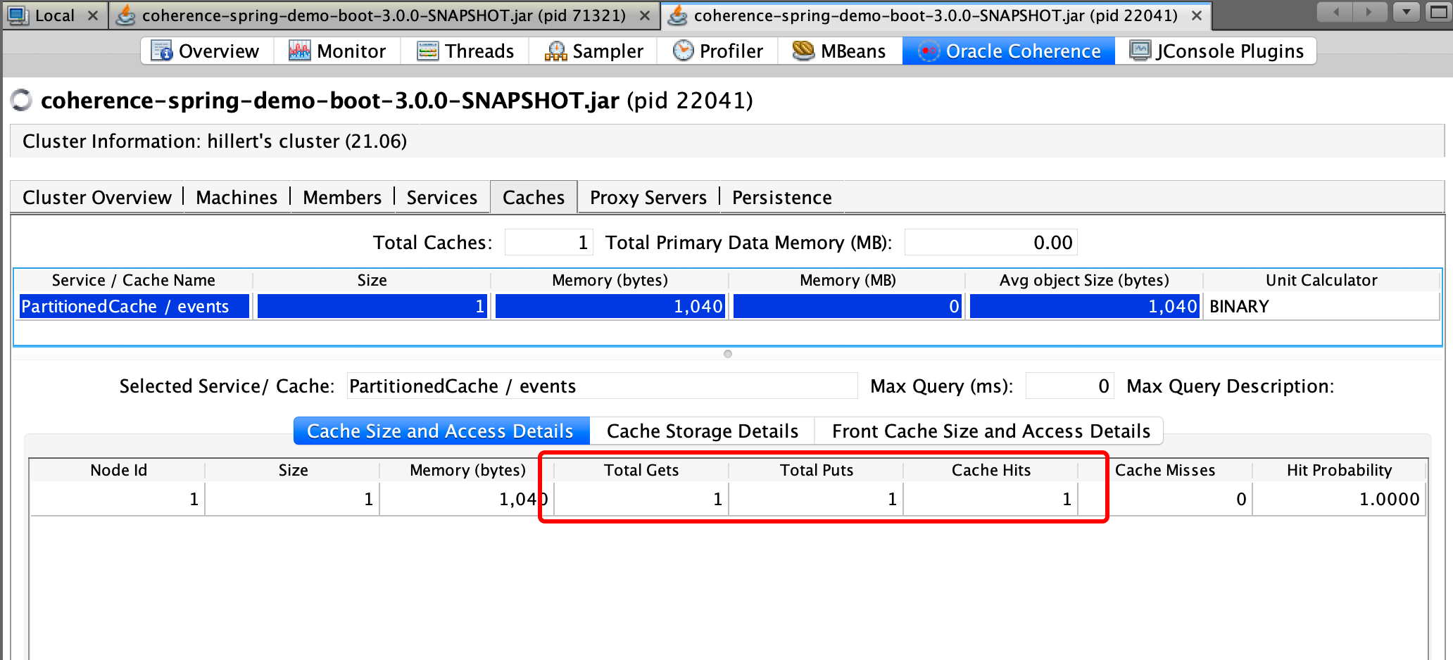 VisuamVM Get Value From Cache